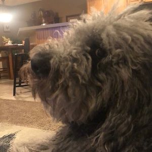 Meet your Posher, Sara